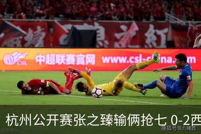杭州公开赛张之臻输俩抢七 0-2西里奇收获亚军
